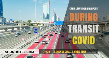 Dubai Airport Transit: Can I Leave During COVID?