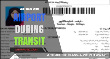 Dubai Airport Transit: Can I Leave the Airport?