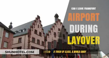 Exploring Frankfurt During a Layover: Is It Possible?