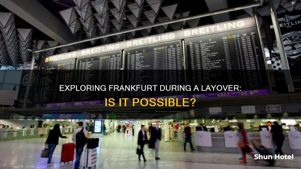 can i leave frankfurt airport during layover