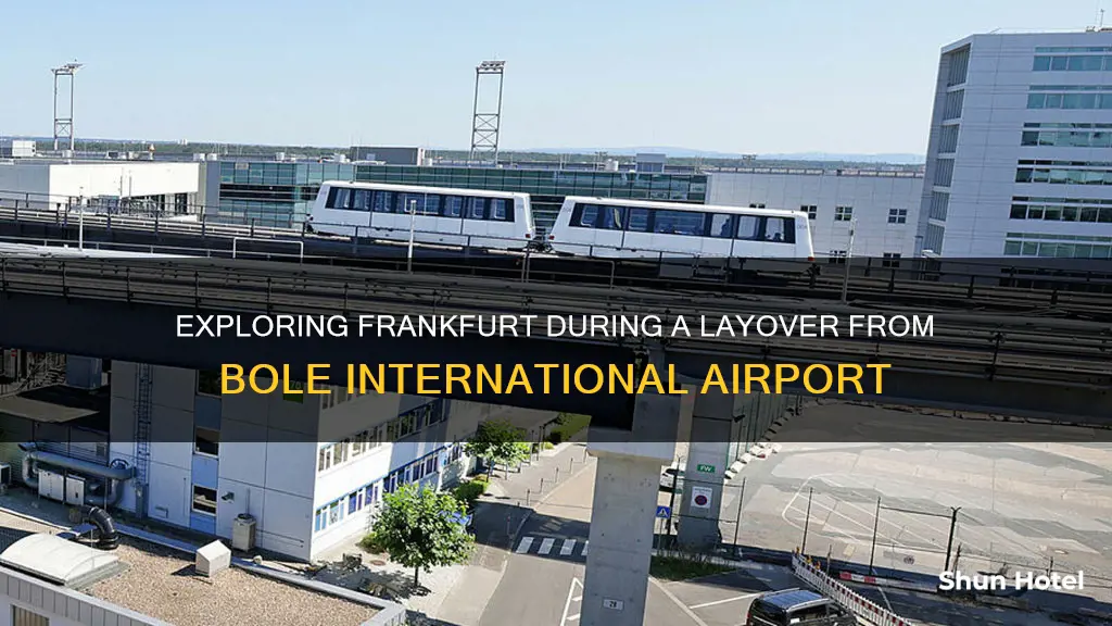 can i leave frankfurt germany airport during layover from bole