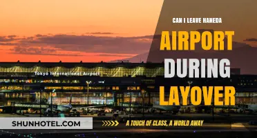 Exploring Haneda Airport: Can I Leave During a Layover?