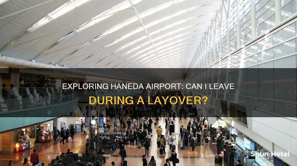 can i leave haneda airport during layover
