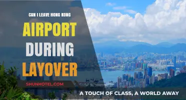 Exploring Hong Kong During a Layover