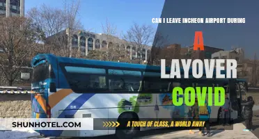 Incheon Layover: Can I Leave the Airport During COVID?