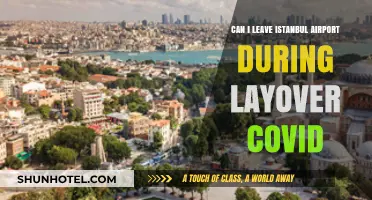 Istanbul Airport Layover: Can I Leave During COVID?
