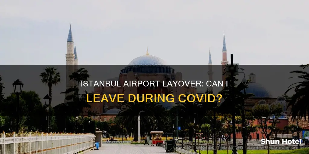 can i leave istanbul airport during layover covid