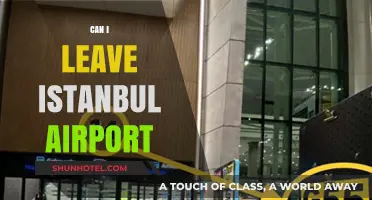 Exploring Istanbul: Can You Leave the Airport?