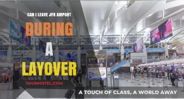 Exploring NYC: Making the Most of Your JFK Layover