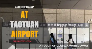 Taoyuan Airport: Leaving Luggage Behind