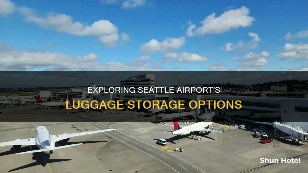 can i leave luggage in seattle airport