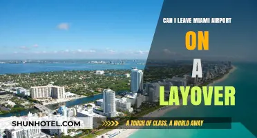 Exploring Miami on a Layover: Can You Leave the Airport?