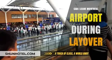 Exploring Montreal During a Layover: Is It Possible?