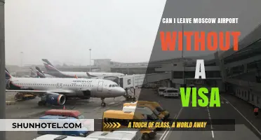 Exploring Moscow Without a Visa: Is It Possible?