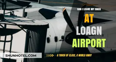 Exploring Logan Airport's Luggage Storage Options