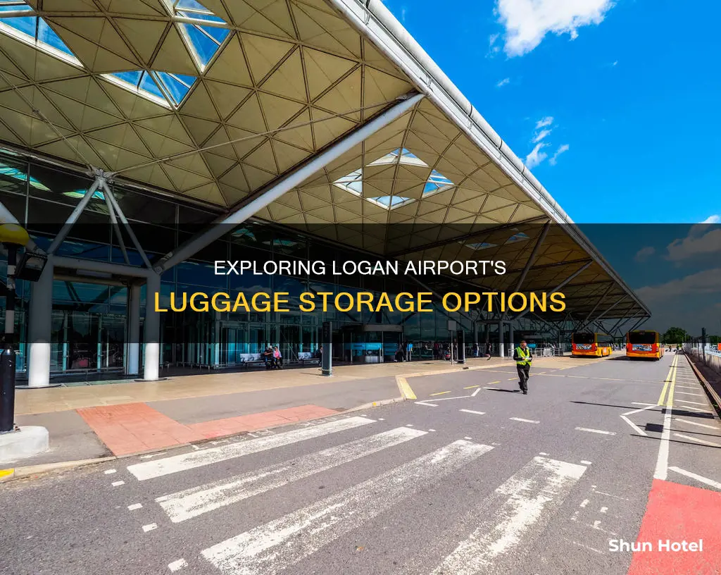 can i leave my bags at loagn airport