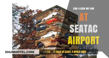 Seatac Airport: Can You Leave Your Car There?