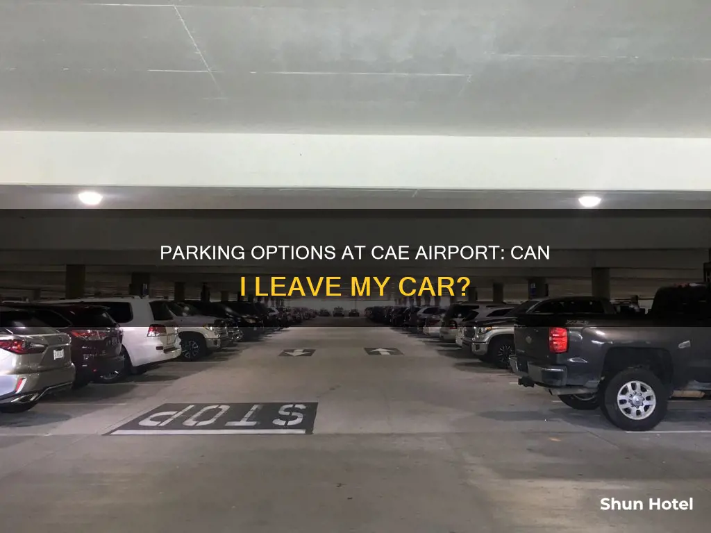can i leave my car at the cae airport