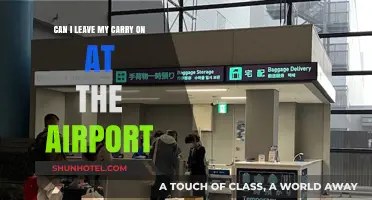 Exploring Airport Options: Leaving Carry-Ons Behind