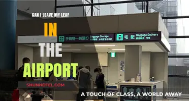Leaf at the Airport: Allowed or Not?