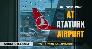 Luggage Storage at Ataturk Airport: What Are My Options?