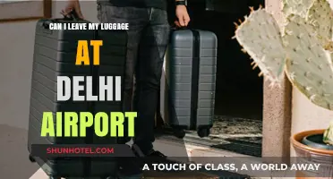 Delhi Airport: Leaving Luggage Behind
