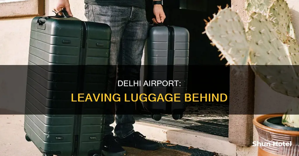 can i leave my luggage at delhi airport