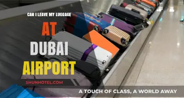 Dubai Airport: Leaving Luggage Behind