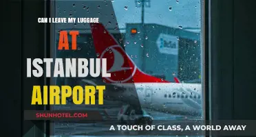 Istanbul Airport: Leaving Luggage Behind Safely?