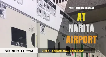 Exploring Narita Airport's Luggage Storage Options