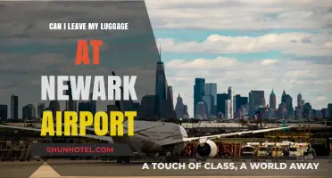 Exploring Newark Airport's Luggage Storage Options