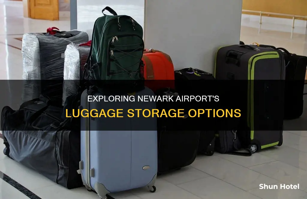 can i leave my luggage at newark airport