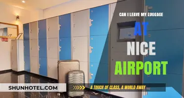 Exploring Nice Airport: Luggage Storage Options