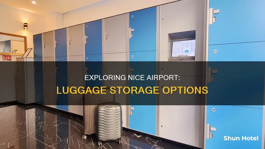 can i leave my luggage at nice airport