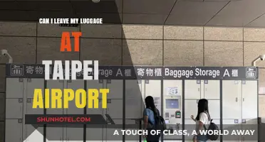 Taipei Airport: Leaving Luggage Behind