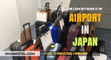 Exploring Japan Hands-Free: Airport Luggage Storage Options