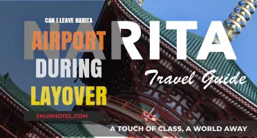 Exploring Narita Airport: Can You Leave During a Layover?