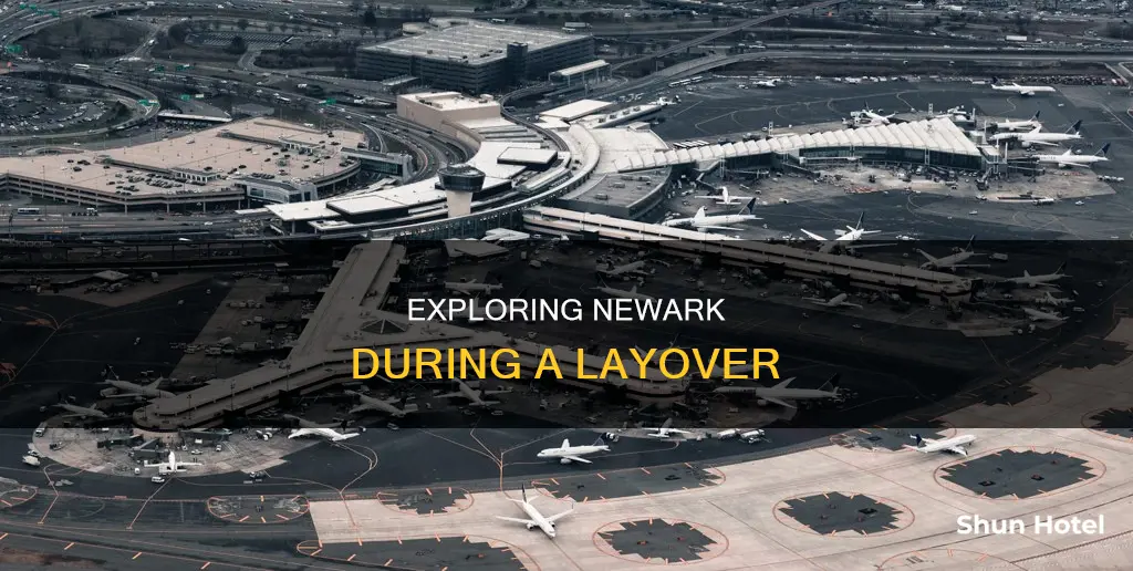 can i leave newark airport during a layover