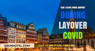 Exploring Paris on a Layover: COVID Travel Rules
