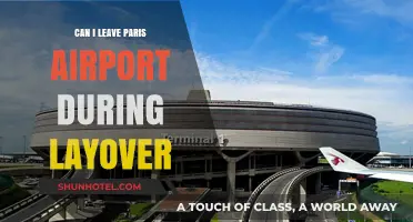 Exploring Paris on a Layover: Can You Leave the Airport?