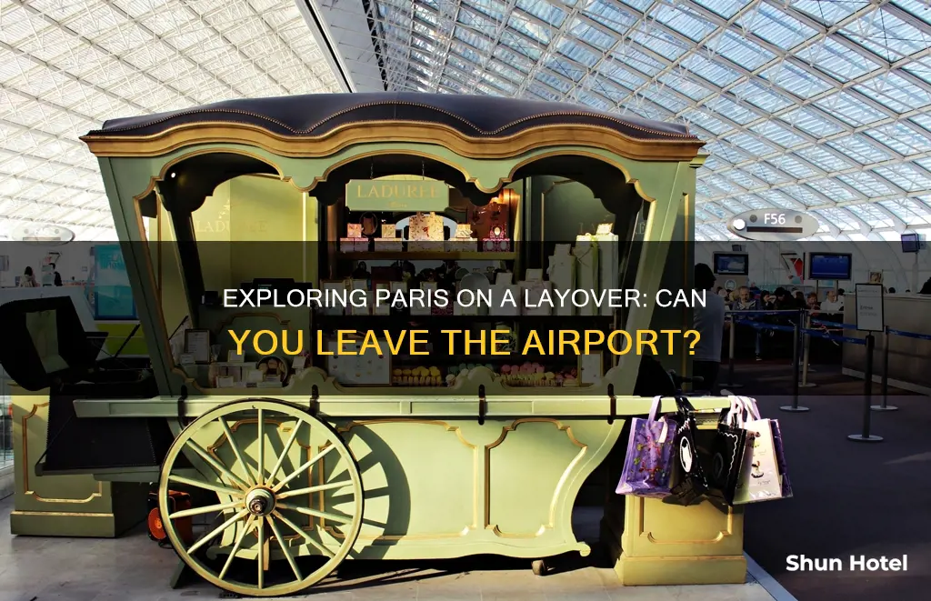 can i leave paris airport during layover