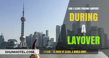 Exploring Shanghai During a Layover at Pudong Airport