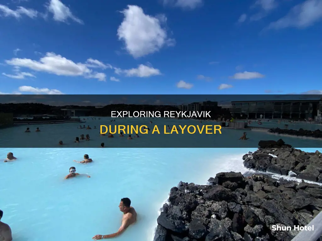 can i leave reykjavik airport during layover