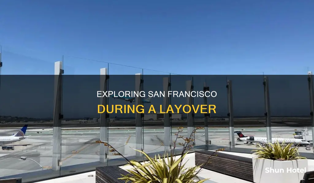 can i leave san francisco airport during layover
