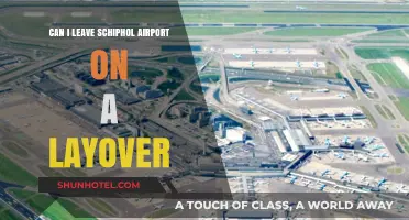 Exploring Amsterdam on a Layover at Schiphol Airport