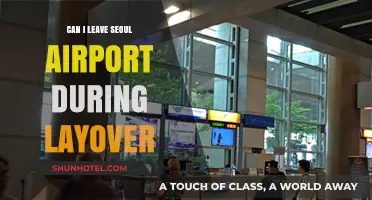 Exploring Seoul During a Layover: Is It Possible?