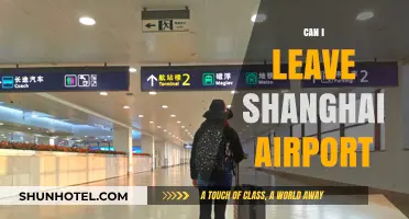 Shanghai Airport: Can I Explore the City on a Layover?