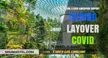Singapore Airport Layover: Can I Leave During COVID?