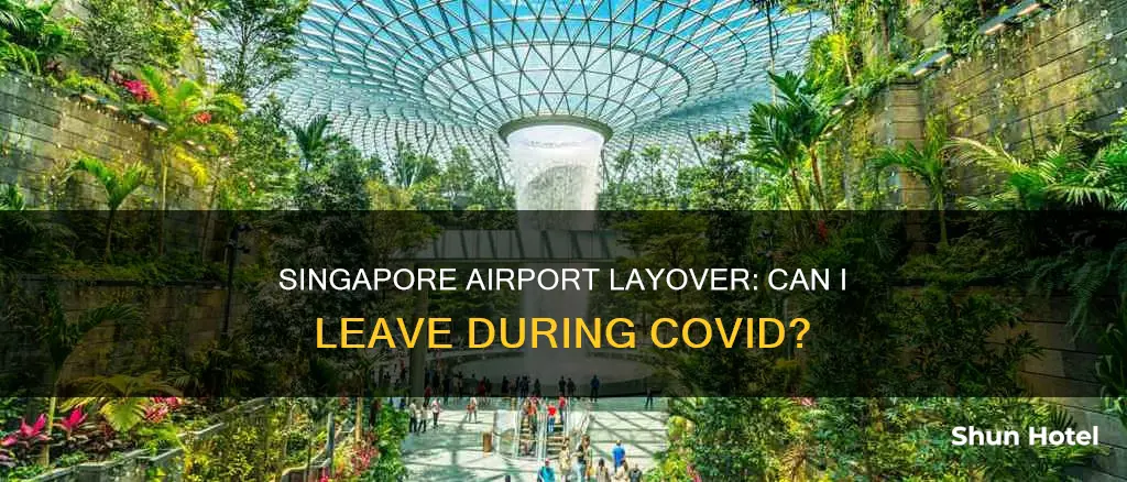 can i leave singapore airport during layover covid