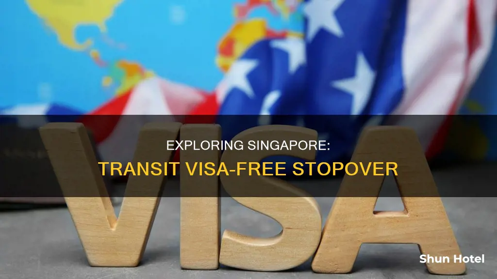 can i leave singapore airport in transit